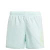 Adidas Costume Ip1583 Acqua