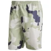 Adidas original Short Hf4873 Grey
