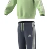 Adidas Tuta Is2506 Green