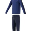 Adidas Tuta Je0311 Royal