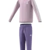Adidas Tuta Jn6482 Pink