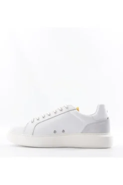 Ambitious Sneaker 12455a Wht/cognac