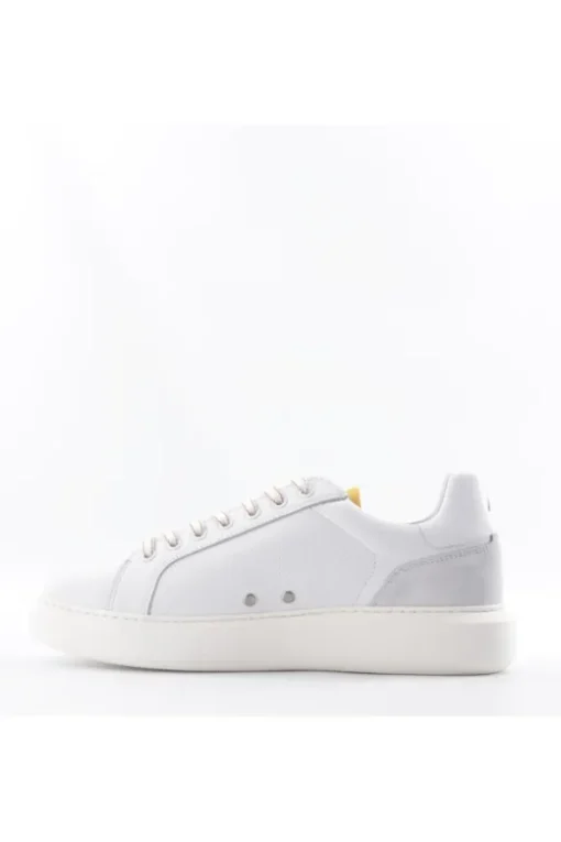Ambitious Sneaker 12455a Wht/cognac