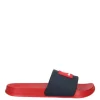 Champion Mare S22051 Bs501