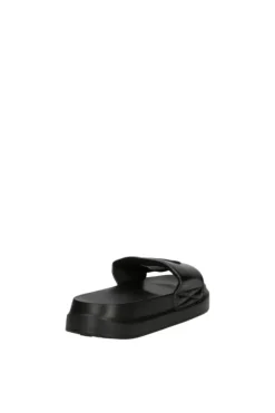 Champion Mare S11561 Kk001