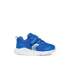 Geox Sneaker B454uc Royal