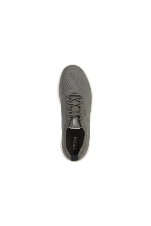 Geox Sneaker U15bya Green