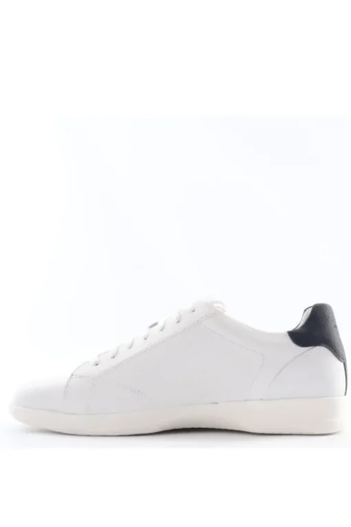 Geox Sneaker U456fb White
