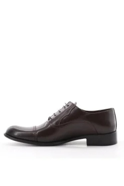 Martin kent Scarpa stringata 5330 Tabacco