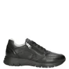 NeroGiardini Sneaker 00182u Nero