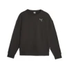 Puma Felpa 676803 01