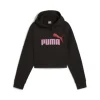 Puma Felpa 671134 01