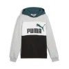 Puma Felpa 679717 04