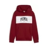 Puma Felpa 682775 13