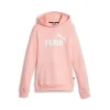 Puma Felpa 587031 63