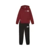 Puma Tuta 683318 13